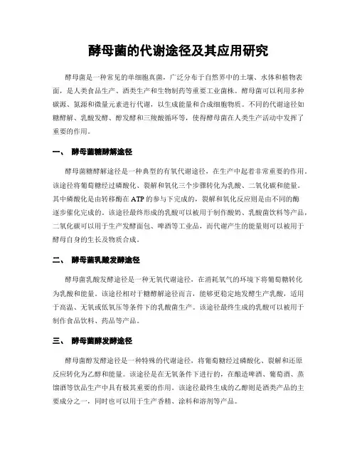 酵母菌的代谢途径及其应用研究