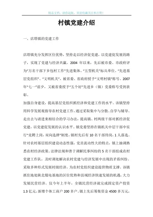 村镇党建介绍