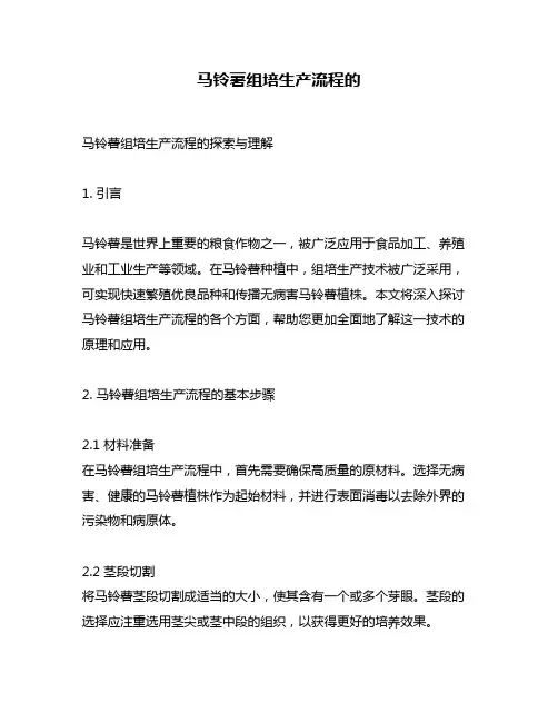 马铃薯组培生产流程的