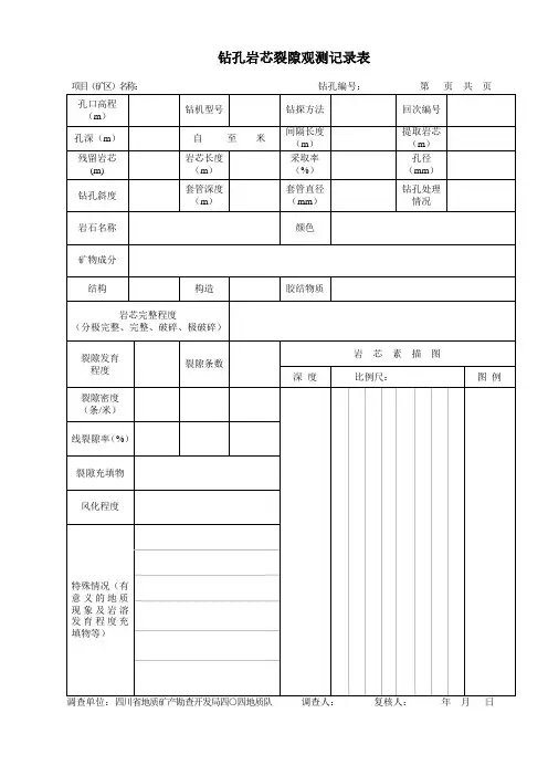 钻孔岩芯裂隙观测记录表