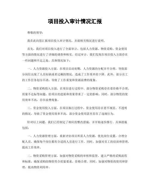 项目投入审计情况汇报
