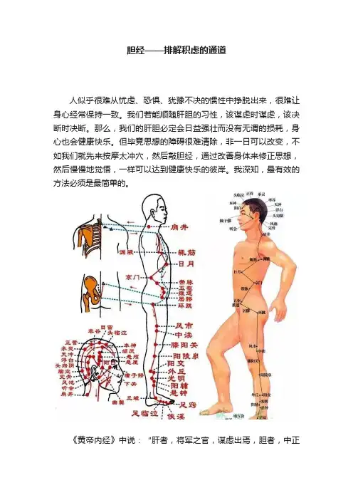 胆经——排解积虑的通道