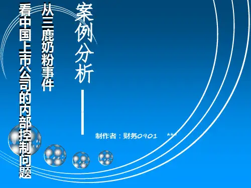内部控制案例分析