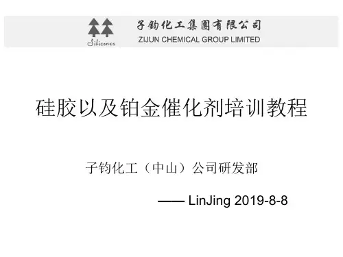 硅胶以及铂金催化剂培训教程 共19页