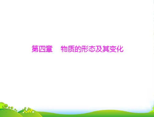 广东省中考物理复习 第四章 物质的形态及其变化课件