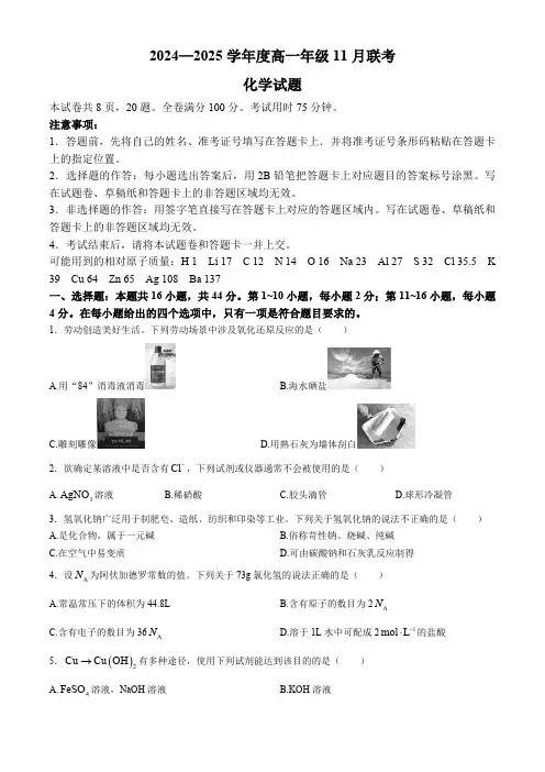 广东省部分学校2024-2025学年高一上学期11月期中联考  化学试题(含解析)