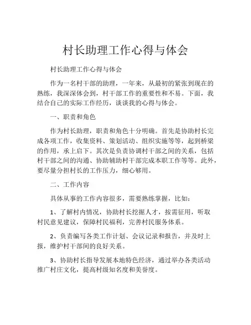 村长助理工作心得与体会