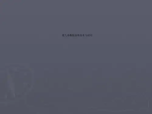第九章数据加密技术与应用
