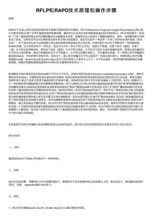 RFLP和RAPD技术原理和操作步骤