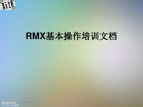 RMX基本操作培训文档