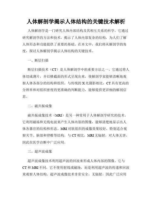 人体解剖学揭示人体结构的关键技术解析