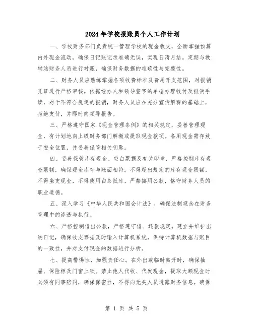 2024年学校报账员个人工作计划(3篇)