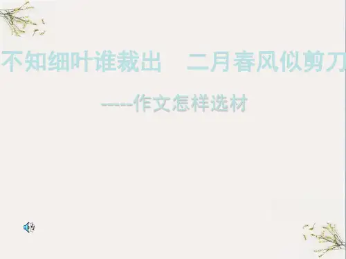 初中作文怎样选材ppt(完美版)