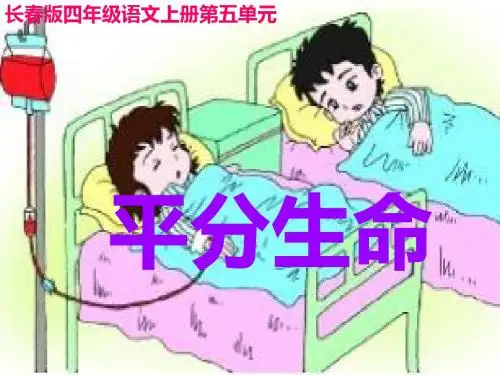 四年级语文上册5.3平分生命课件3长春版