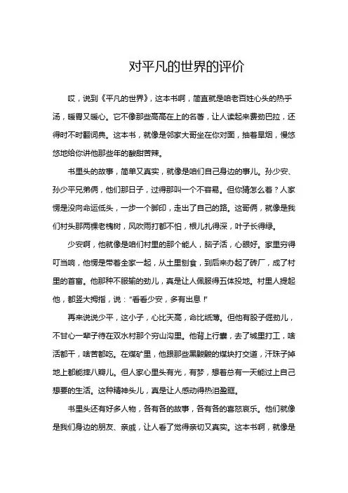 对平凡的世界的评价