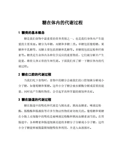 糖在体内的代谢过程