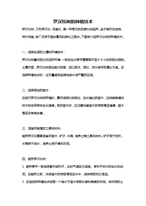 罗汉松树的种植技术