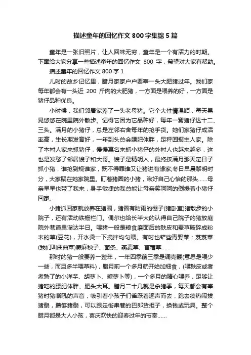 描述童年的回忆作文800字集锦5篇