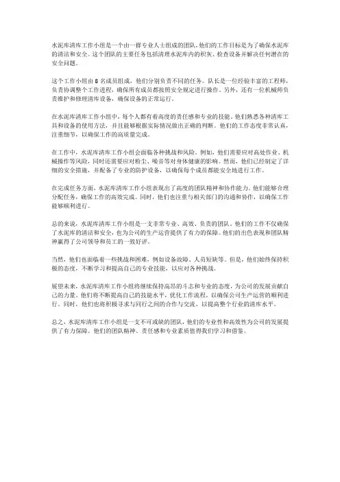 水泥库清库工作小组