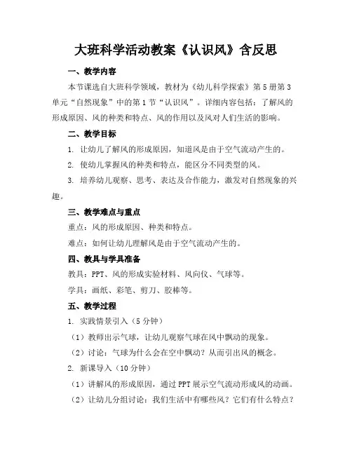 大班科学活动教案《认识风》含反思(1)
