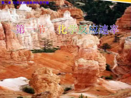 《化学反应速率》PPT【人教版】
