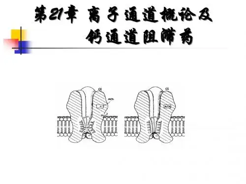 离子通道概论及钙通道阻滞药
