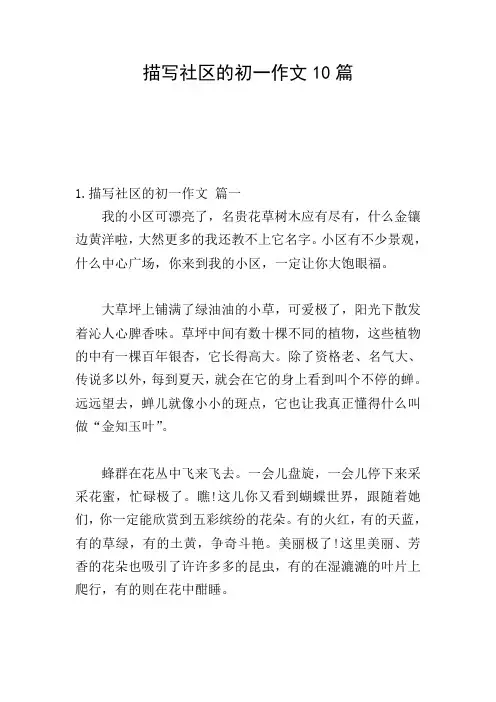 描写社区的初一作文10篇