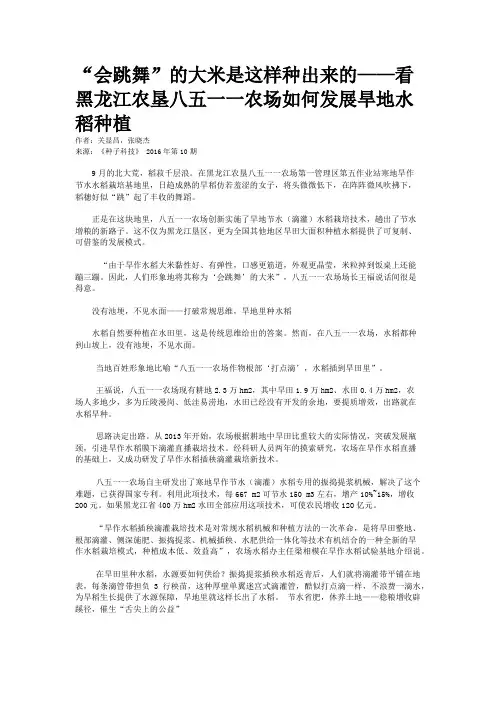 “会跳舞”的大米是这样种出来的——看黑龙江农垦八五一一农场如何发展旱地水稻种植
