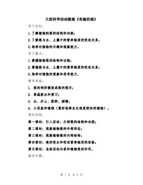 大班科学活动教案《有趣的根》