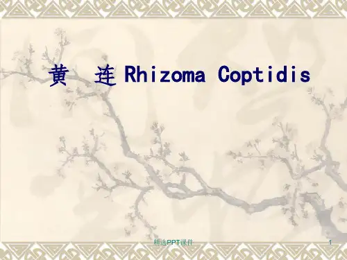 天然药物学基础ppt课件