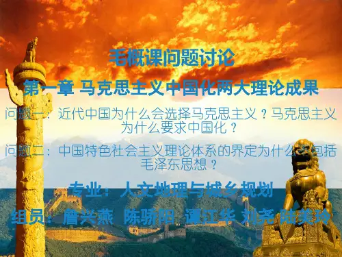 毛概课问题讨论问题一