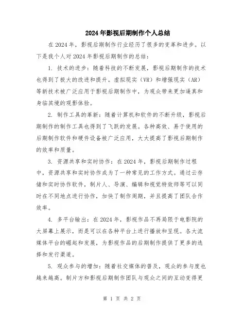 2024年影视后期制作个人总结