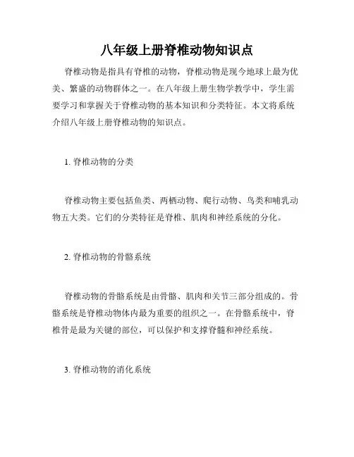 八年级上册脊椎动物知识点