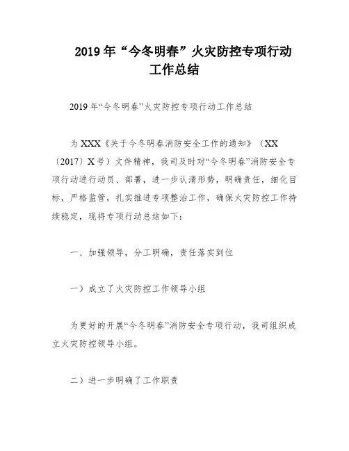 2019年“今冬明春”火灾防控专项行动工作总结