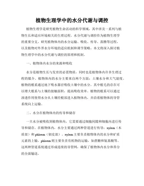 植物生理学中的水分代谢与调控