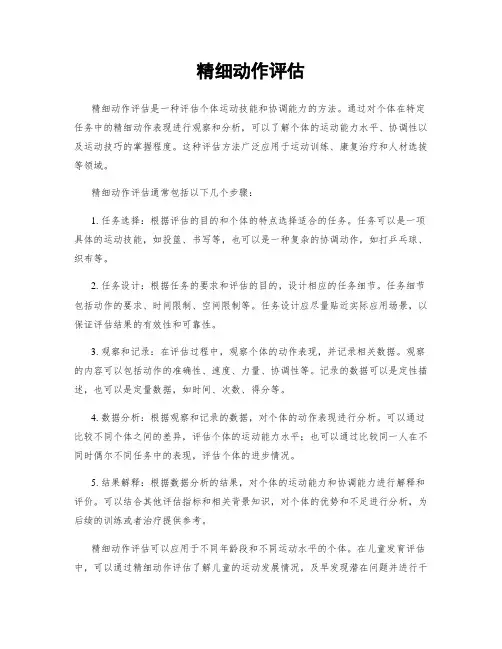 精细动作评估