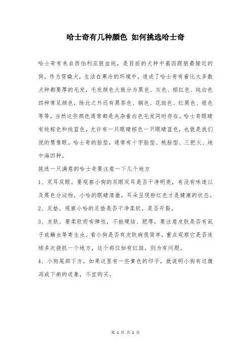 哈士奇有几种颜色 如何挑选哈士奇