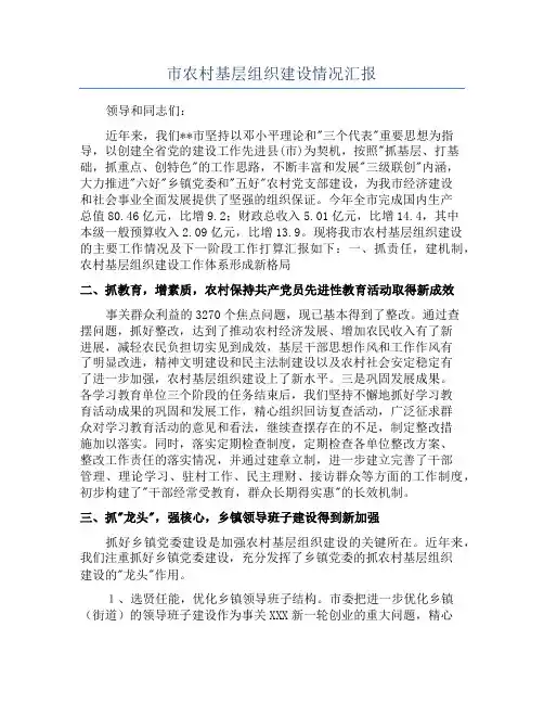 市农村基层组织建设情况汇报