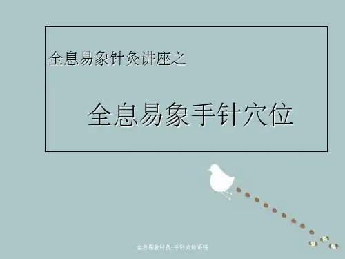全息易象针灸-手针穴位系统