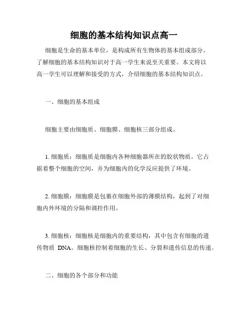 细胞的基本结构知识点高一
