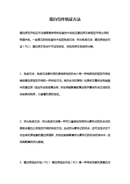 蛋白互作验证方法