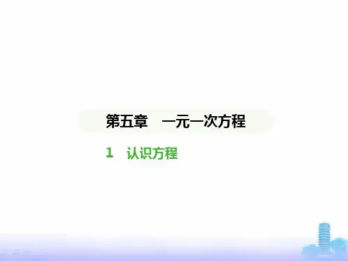 北师大版七年级数学上册第五章一元一次方程认识方程课件