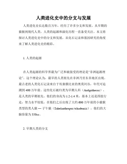 人类进化史中的分支与发展