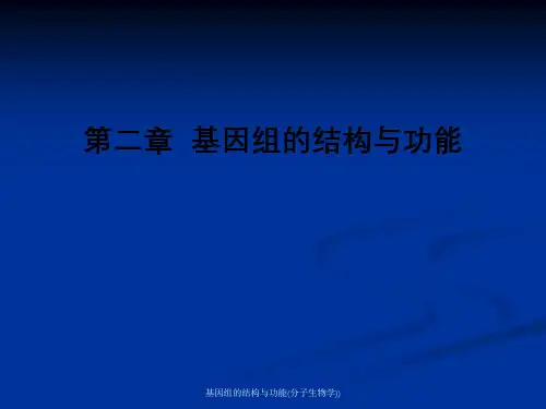 基因组的结构与功能(分子生物学))