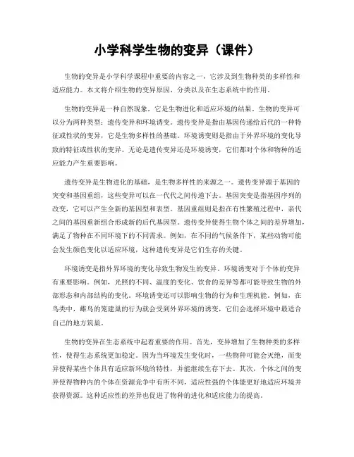 小学科学生物的变异(课件)