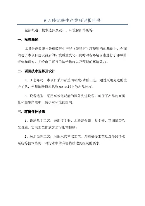 6万吨硫酸生产线环评报告书