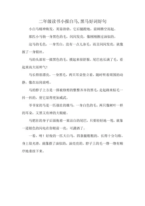 二年级读书小报白马,黑马好词好句