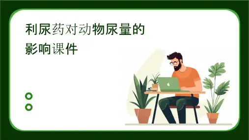 利尿药对动物尿量的影响课件