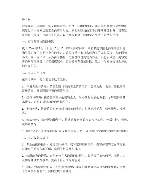 宠物医院个人年终总结(3篇)