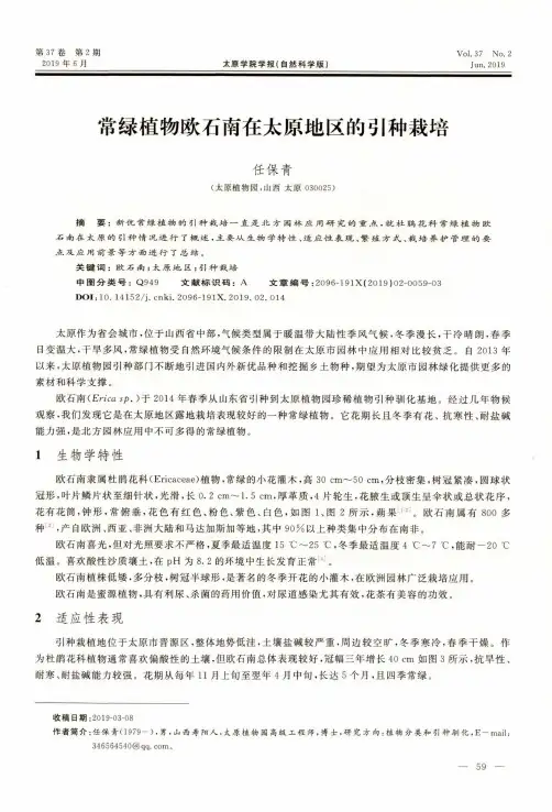 常绿植物欧石南在太原地区的引种栽培